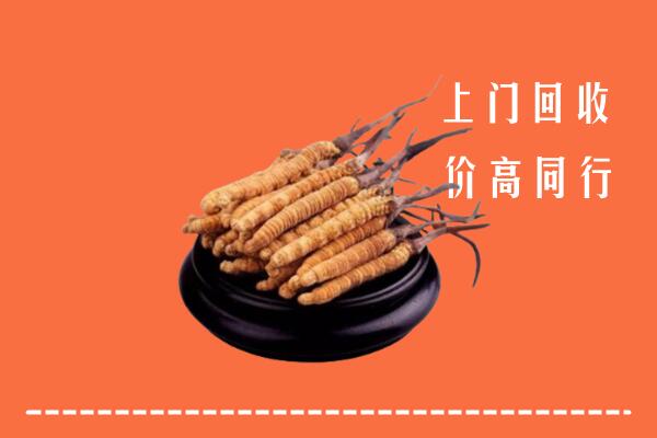 米脂县回收冬虫夏草